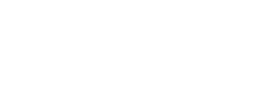 AVS VIP Transfer | Lüks Araç Kiralama ve Havalimanı Transferi